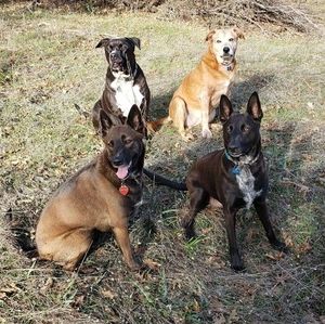 Meet your Posher, Jana